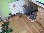 fee und idefix