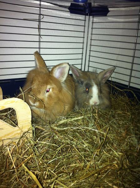 Jack und Liona