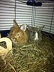 Jack und Liona