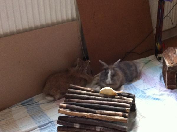 Und nochmal die Beiden =)