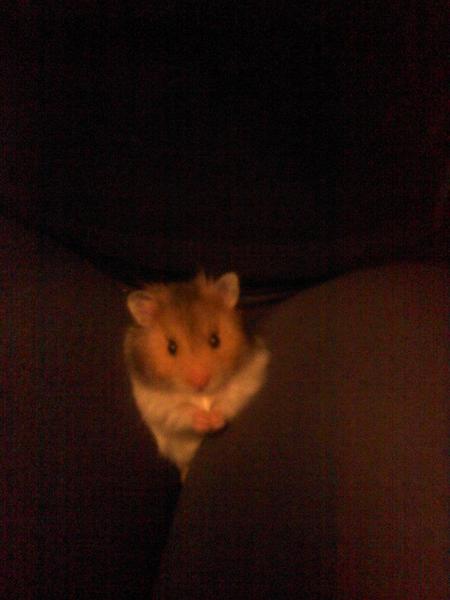 Meine s��e Bungee (: