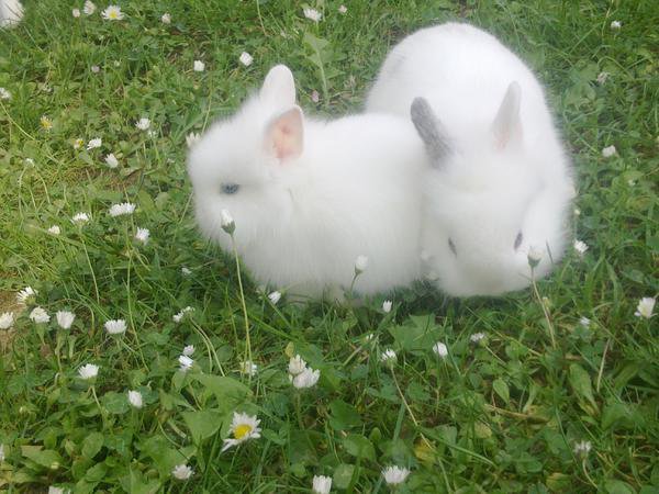 Meine s��en *-*