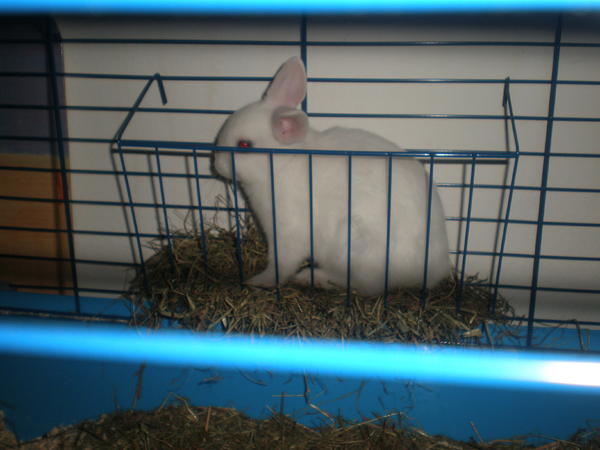 PC090350
