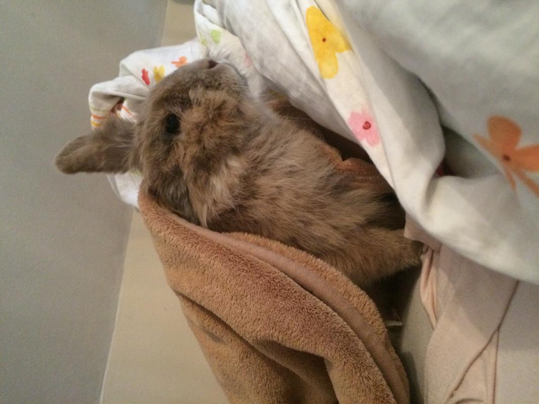 Kuschelzeit :)