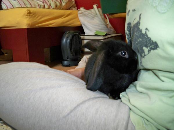Bild 011