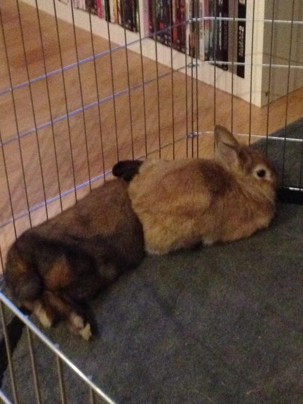 Das muss liebe sein! <3