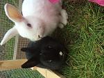 Tobi und Susi