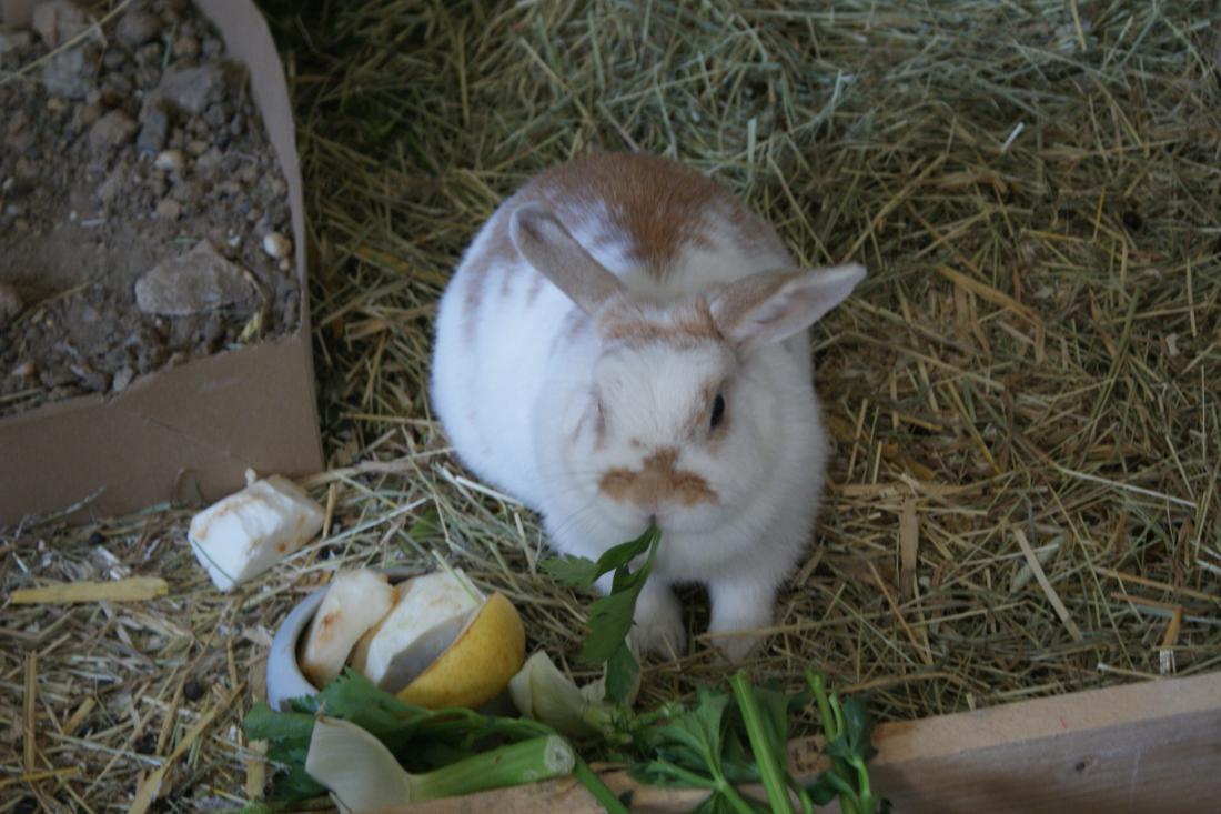Das ist meine Dame: Nicki