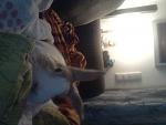 Was habe ich �ber das sofa gesagt? !