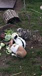 IMG 20151109 WA0002