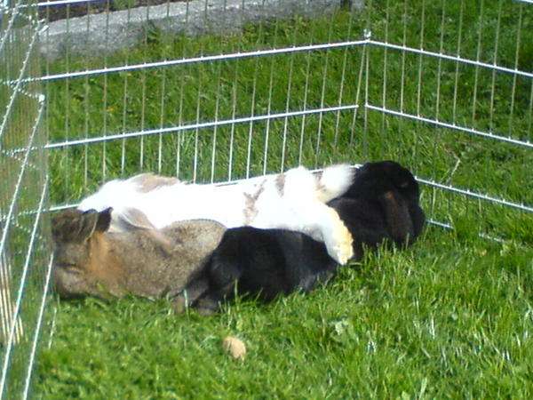 gruppenkuscheln im freien