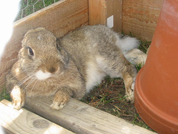 beim chillen