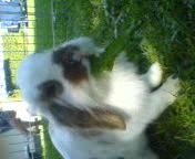 wolle..:D