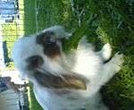 wolle..:D