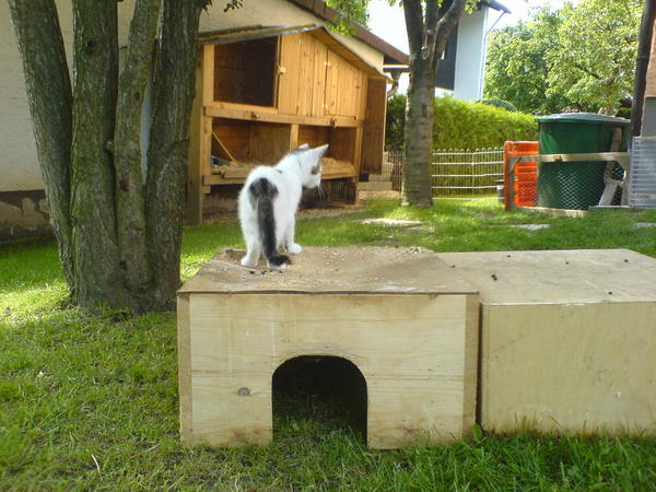 sicht von der anderen seite, mit stall!!