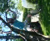 jump von baum