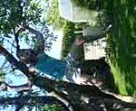 jump von baum