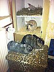 kuscheln & buddeln