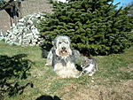Venga & Smokie