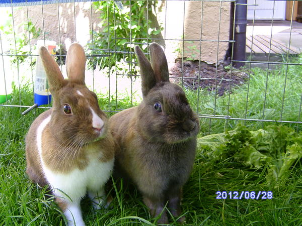 BILD0175