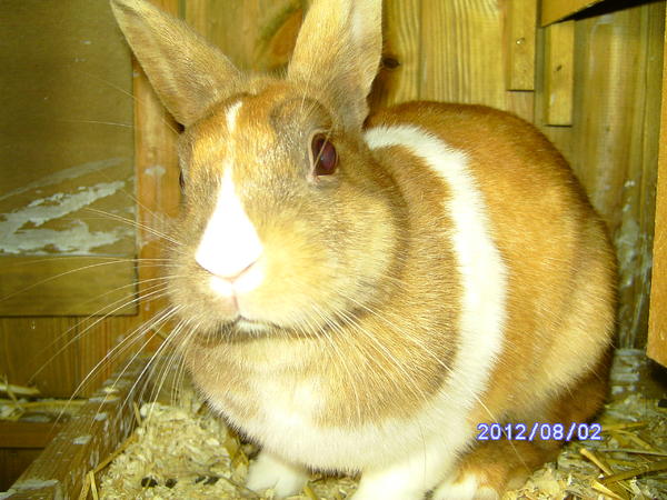 BILD0222