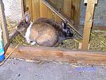 BILD0211