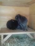 T�gliches putzen