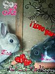 Trixie & Bonnie