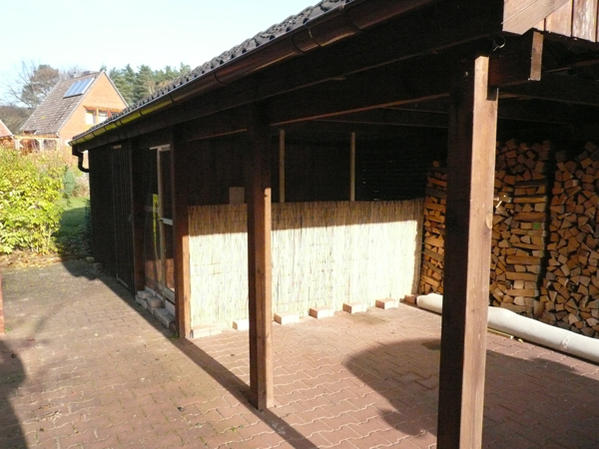 P1050198