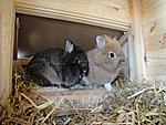 Darf ich vorstellen: Nicki und Timmi :)
