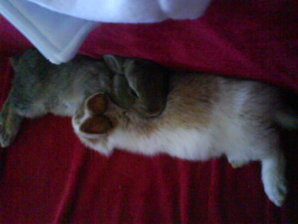 die zwei beim kuscheln