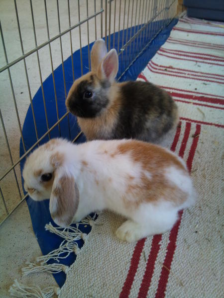 Die beiden S��en!!