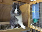 Mein Neuzugang Blacky..
