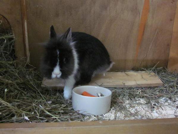 Blacky<3