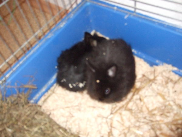 Als kleine Babys =)