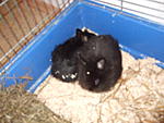 Als kleine Babys =)