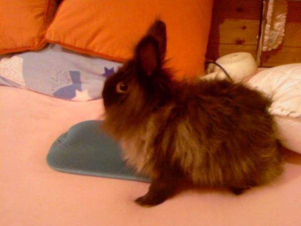 P�ppi