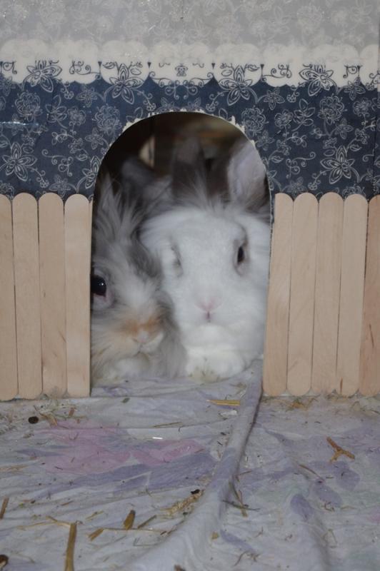 Kuscheln ;)
