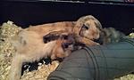 kuscheltime