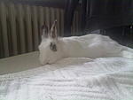 Ich relax hier auch einfach mal ein bissl