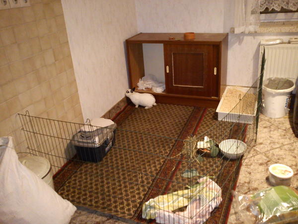 Mein vor�bergehendes zuhause