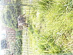 DSC00797