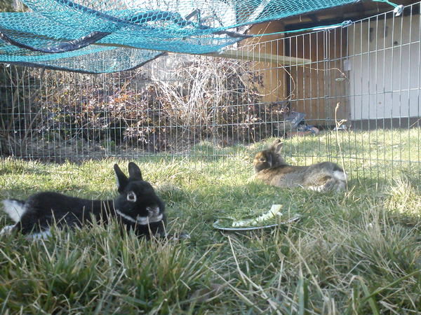 Drau�en in der Sonne brutzeln ist doch immernoch am sch�nsten...bringt mir bitte jemand einen Obstsalat oder einen Drink?^^