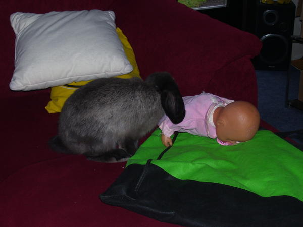 Er steht voll auf die Puppe von meiner Tochter