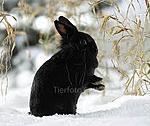 tuki im schnee