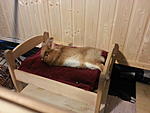 IMG 0048