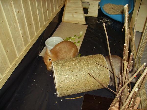 Peppino mit seiner lieblings R�hre