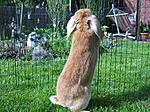 Was ist denn da?