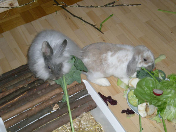 Leckerschmecker :)