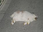 v�llig ersch�pft :D